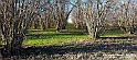 20230110_144822 - Dalla terra... il grano